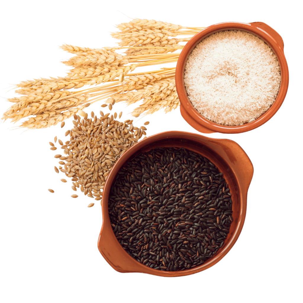 Grains